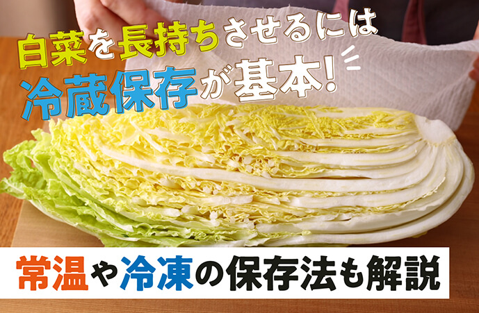 白菜を長持ちさせるには冷蔵保存が基本！常温や冷凍の保存法も解説